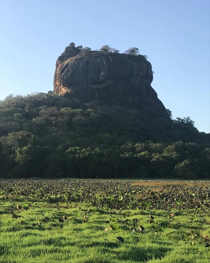 Sigiriya Village Home Stay Exterior photo